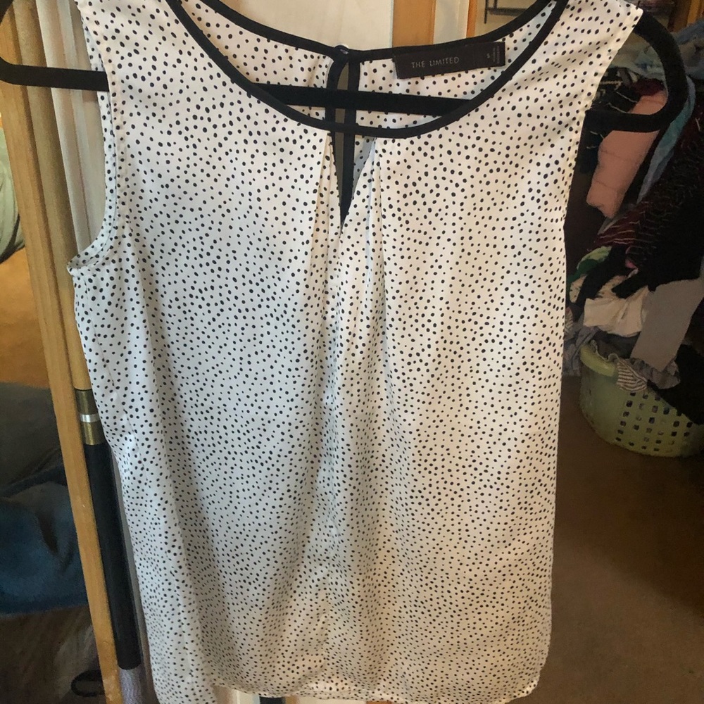 The Limited Blouse